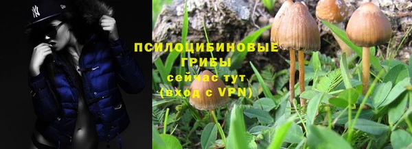 прущий лед Армянск